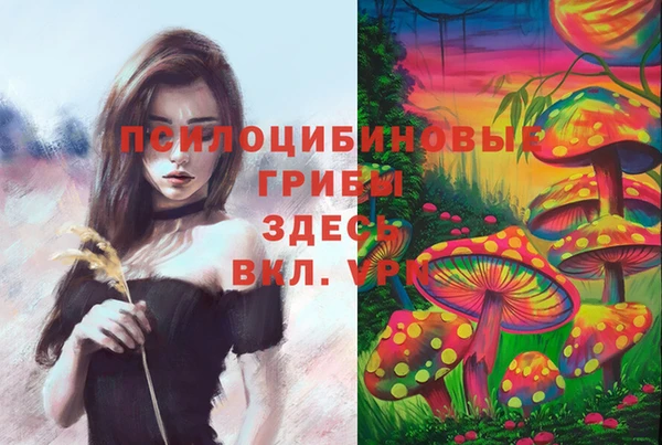 стафф Богданович